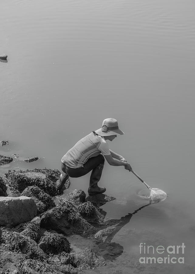 Woman Crabbing 2 Photograph by Steven Natanson