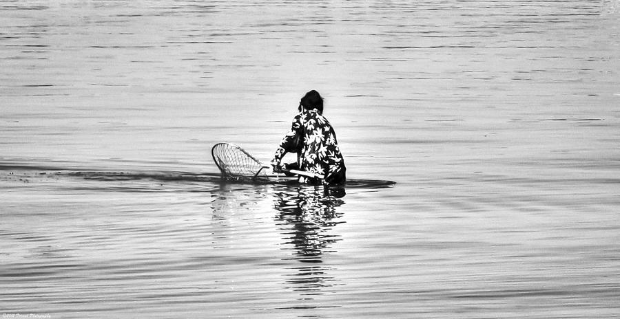 Woman Crabbing  Photograph by Debra Forand