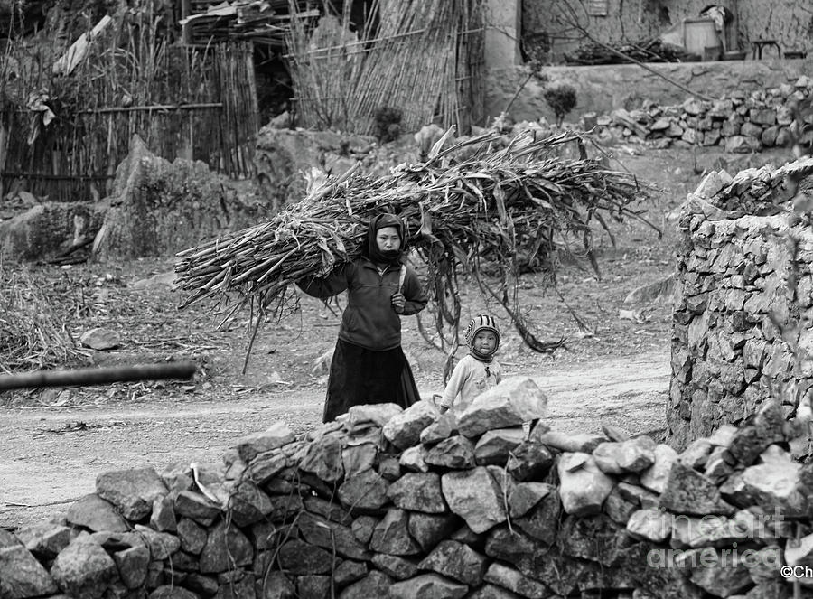 Woman Harvest Child BW Vietnam  Photograph by Chuck Kuhn