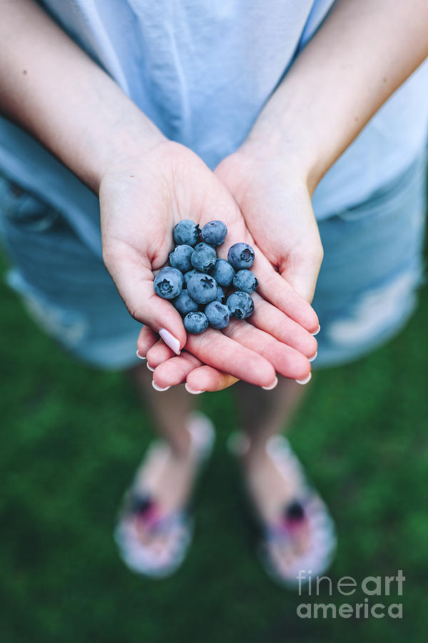 Woman holding blueberries in her hands Photograph by Michal Bednarek
