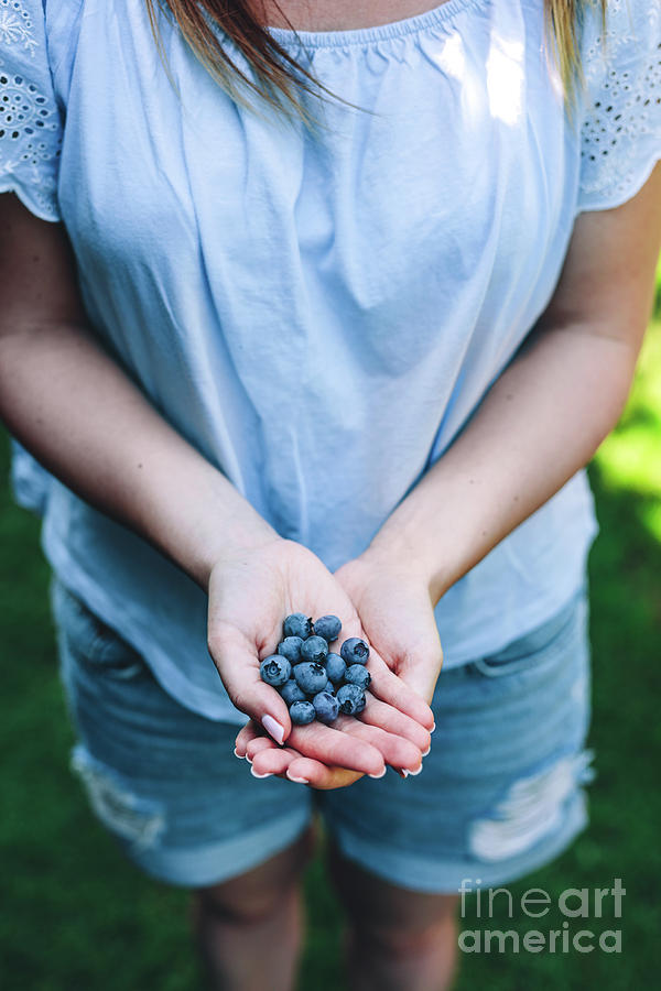 Blueberry Photograph - Woman holding blueberry fruits in her hands by Michal Bednarek