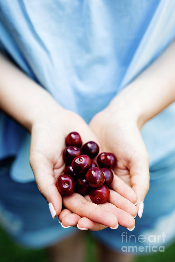Woman holding cherries in her hands. Photograph by Michal Bednarek