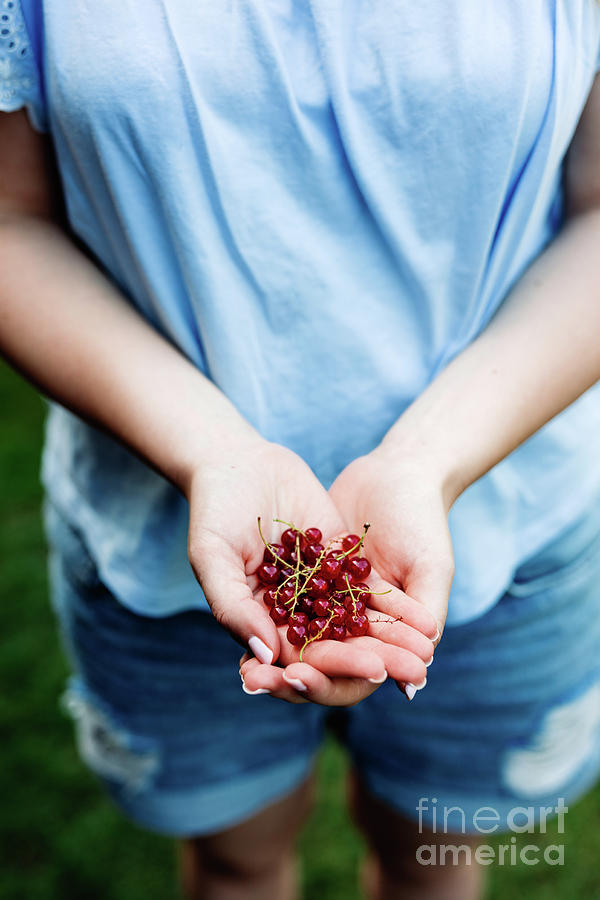 Woman holding cranberries in her hands. Photograph by Michal Bednarek