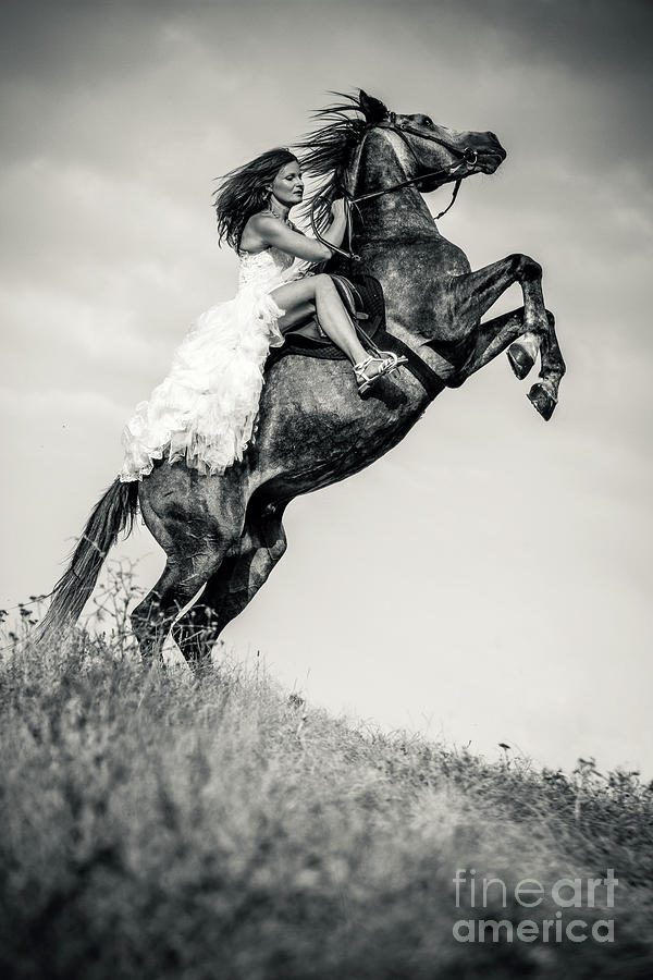 Woman in dress riding chestnut black rearing stallion Photograph by Dimitar Hristov