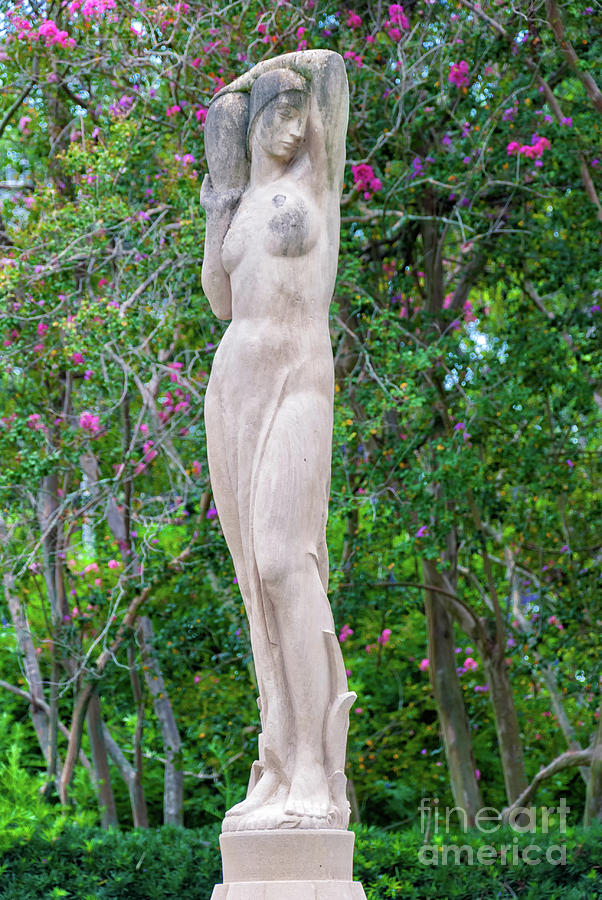 Woman of the Trees 1 Photograph by Kathleen K Parker