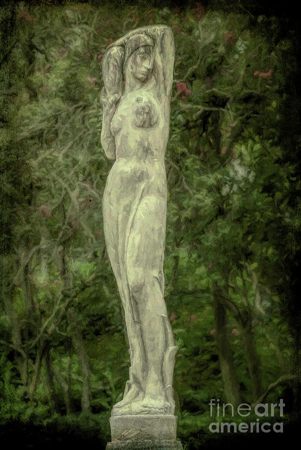Woman Of The Trees Photograph