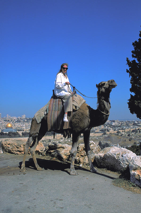 Woman on a Camel in Jerusalem Photograph by Carl Purcell | Fine Art America