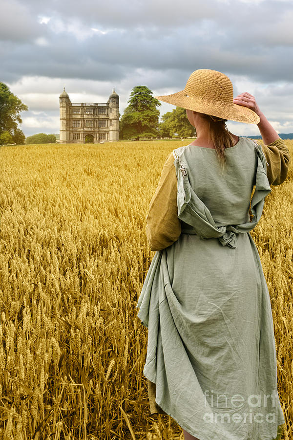 Tree Photograph - Woman Overlooking Wheat Field by Amanda Elwell