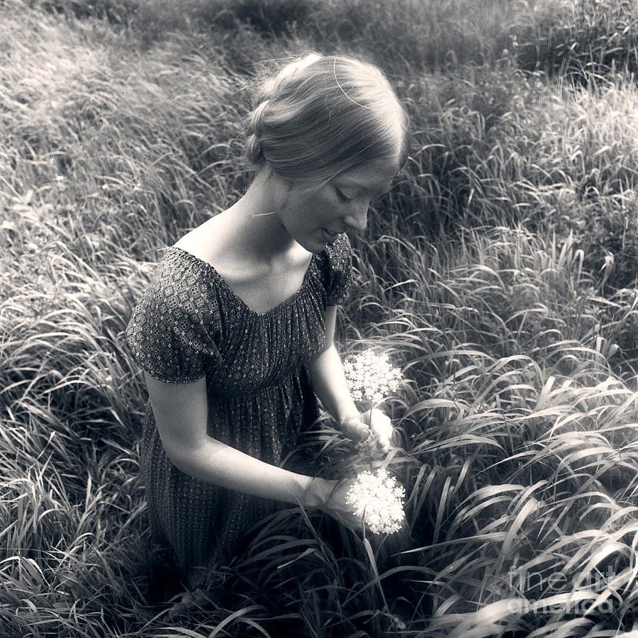 Woman Picking Wildflowers, C.1970s Photograph by H. Armstrong Roberts/ClassicStock
