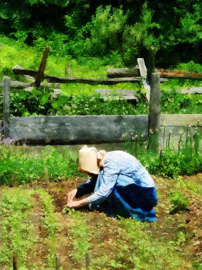 Woman Planting Garden Photograph by Susan Savad
