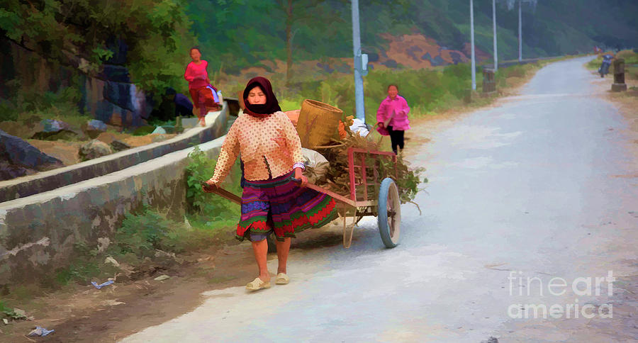 Woman pulling Cart Paint Vietnam Photograph by Chuck Kuhn