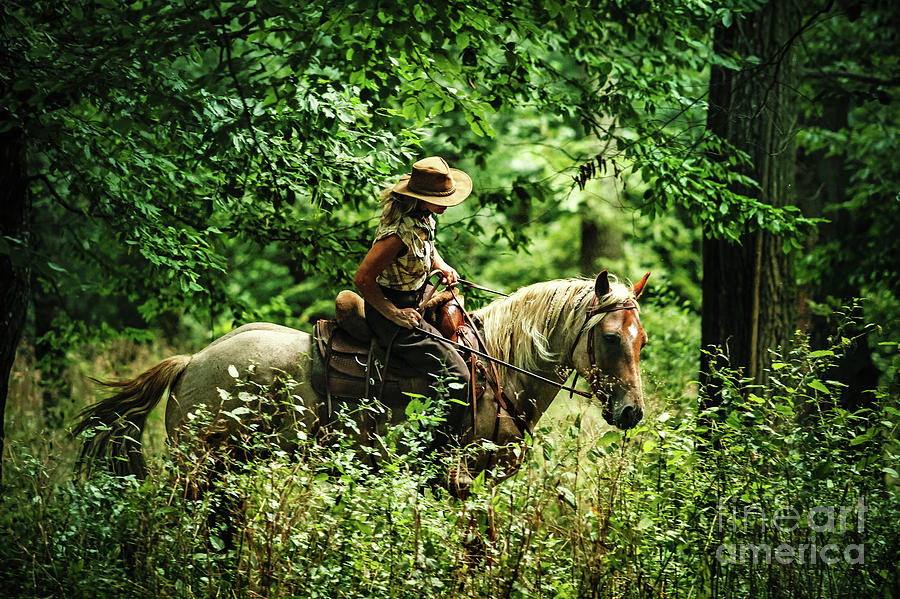 Woman riding horse in the forest Photograph by Dimitar Hristov