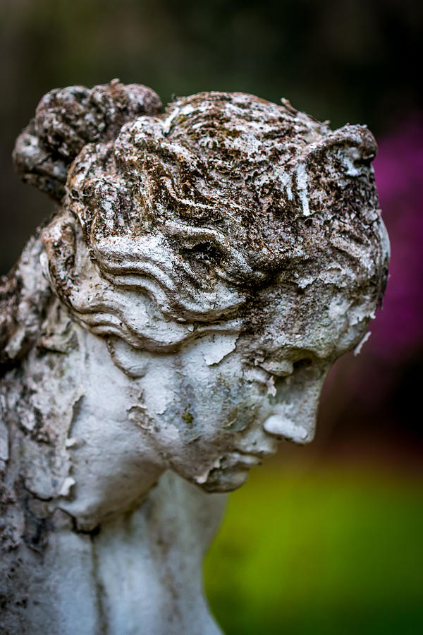 Woman Statue Head Photograph by Susie Weaver