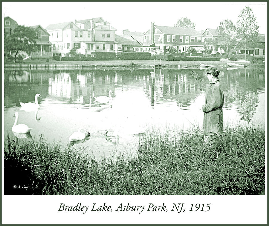 Woman, Swans, Bradley Lake, Asbury Park, New Jersey, 1915 Photograph by A Macarthur Gurmankin
