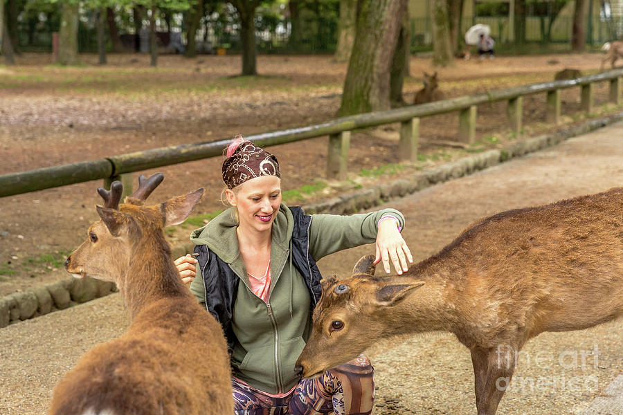 Woman touches wild deer Photograph by Benny Marty