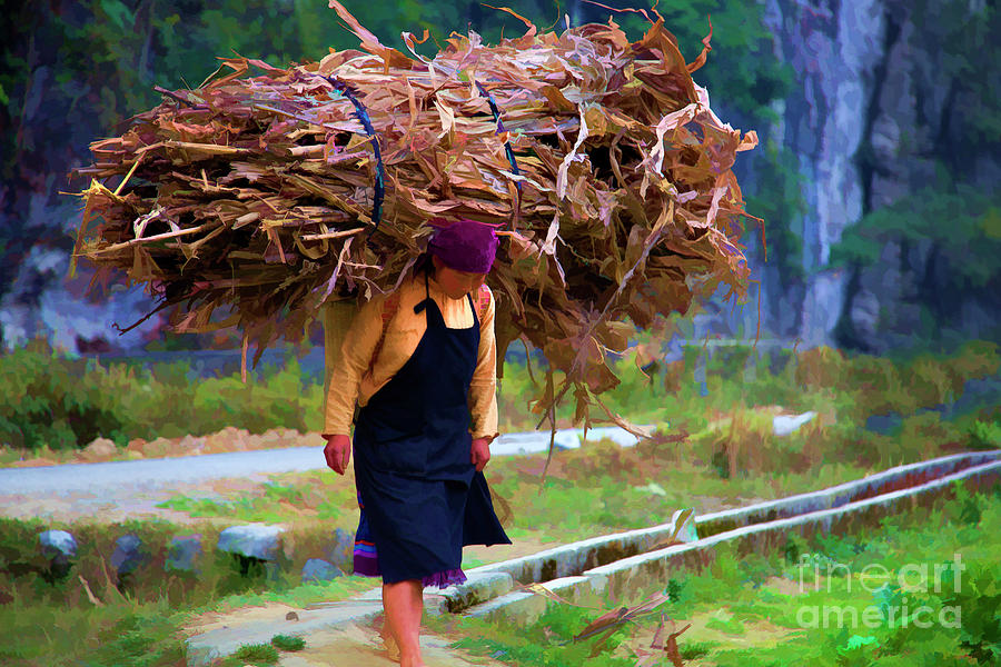 Woman Vietnamese Heavy Load  Photograph by Chuck Kuhn