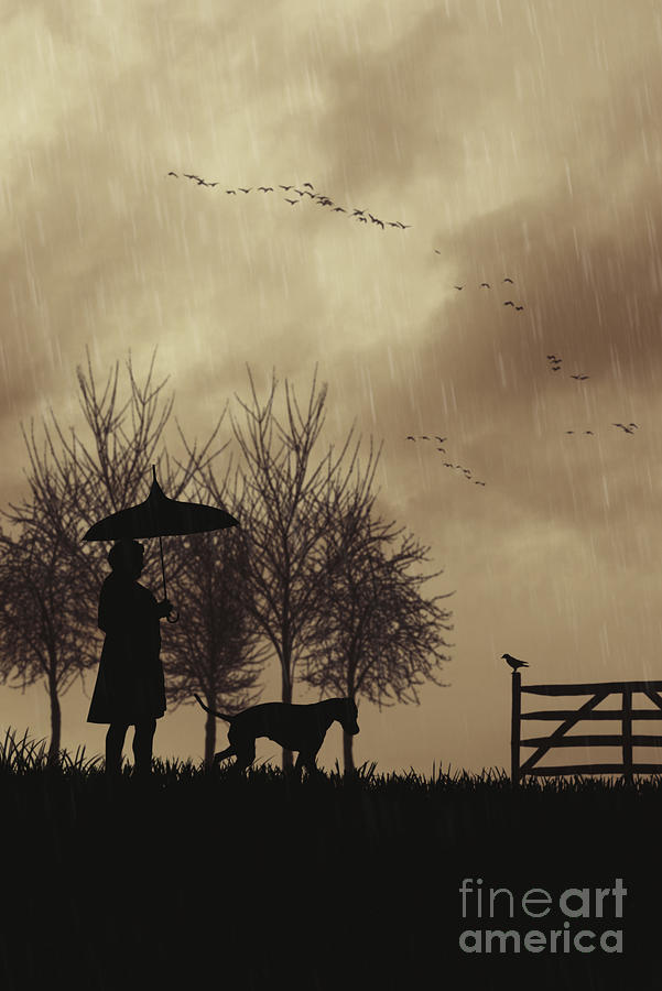 woman-walking-dog-in-the-rain-photograph-by-amanda-elwell-fine-art