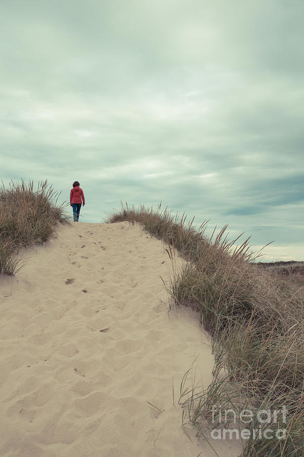 Woman walking in the dunes of Cape Cod Photograph by Edward Fielding