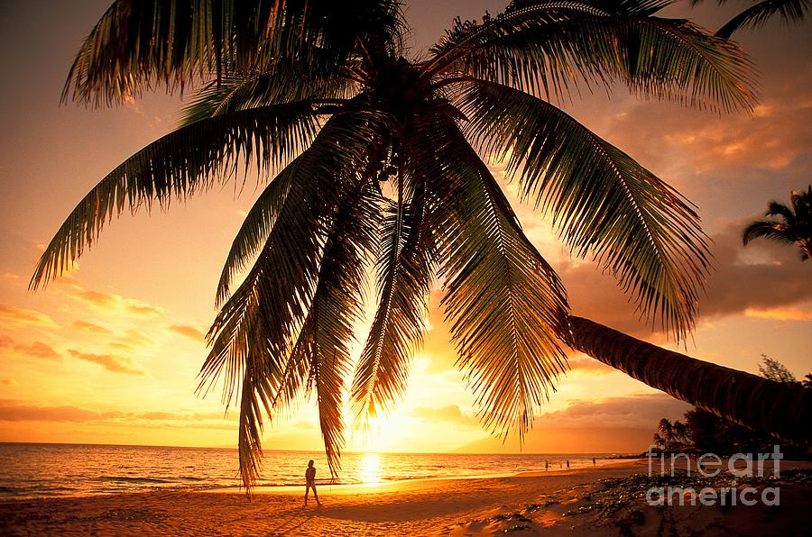 Paradise Photograph - Woman Watches Sunset by Ron Dahlquist - Printscapes