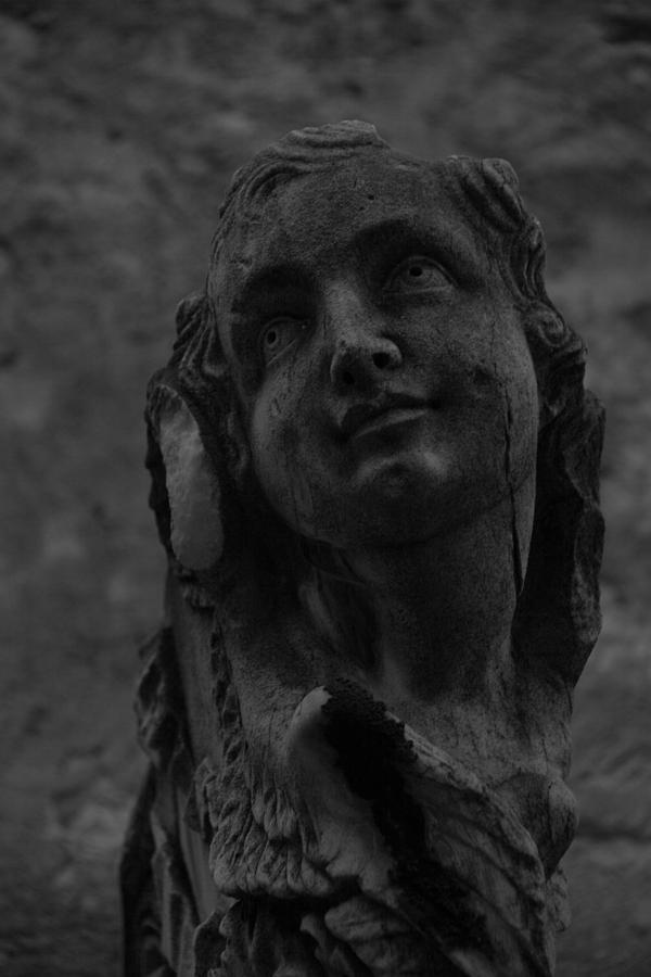 Womans Face in Stone Photograph by Cadence Moore | Fine Art America