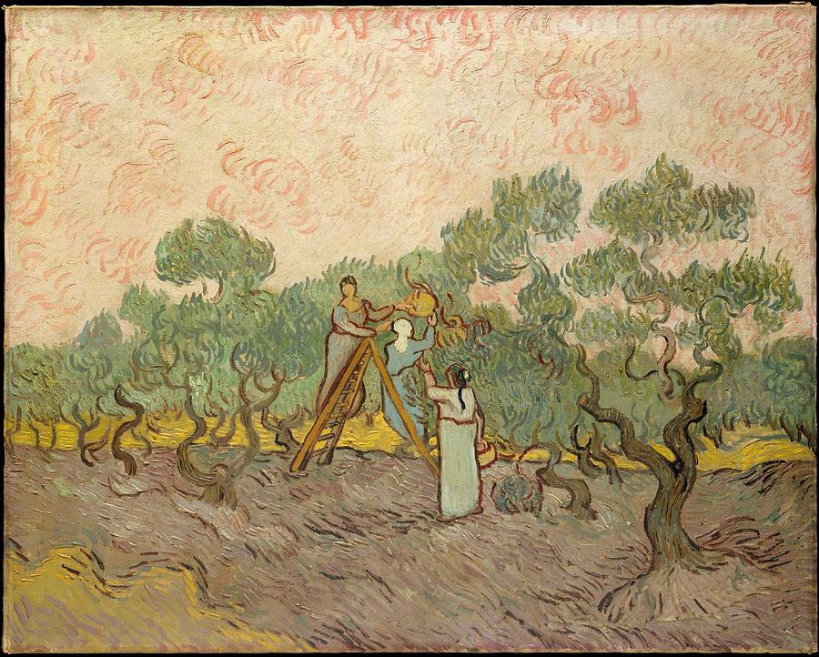 Women picking olives 1889 Painting by Vincent Van Gogh