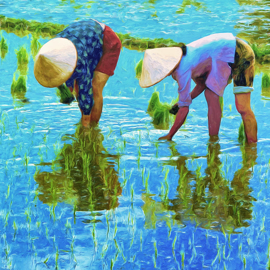 Women Planting Rice Painting by Dominic Piperata