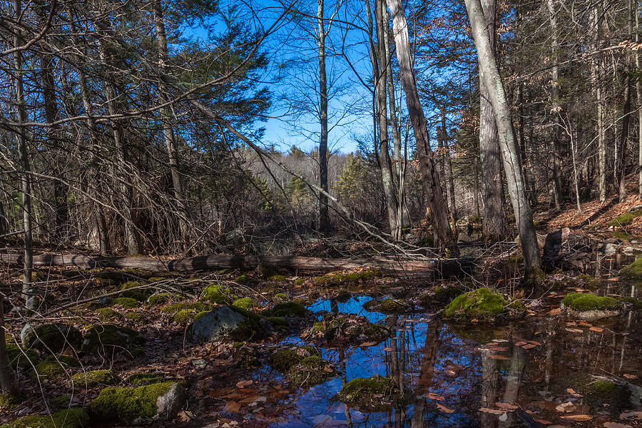 Wompatuck State Park Hiking Reflections Photograph by Brian MacLean