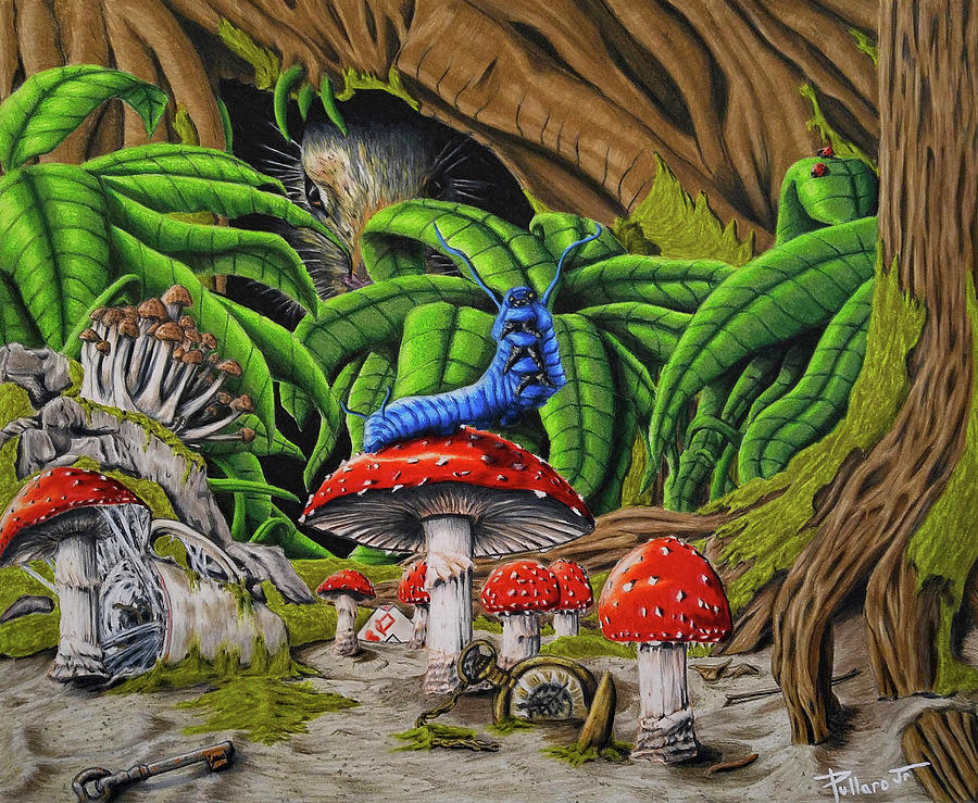 Mushroom Drawing - Wonder Land by William Pullaro Jr