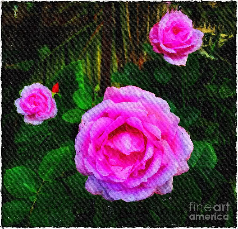 Rose Photograph - Wonder of nature by Blair Stuart