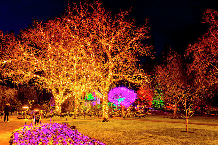 Wonderful christmas lighting decoration in The Butchart Gardens 5 ...