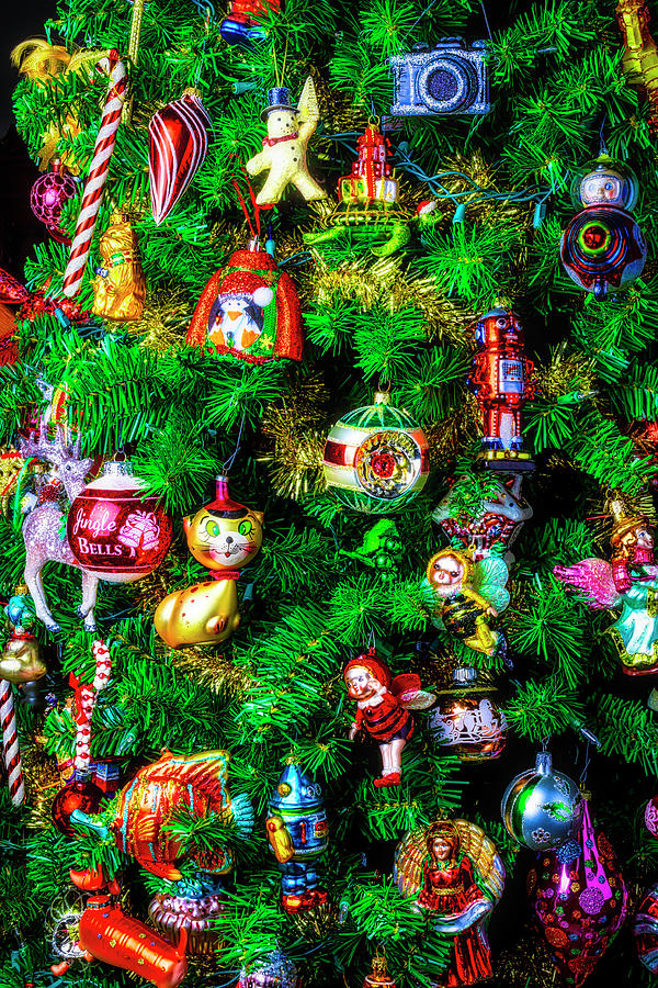 Wonderful Christmas Tree Photograph by Garry Gay