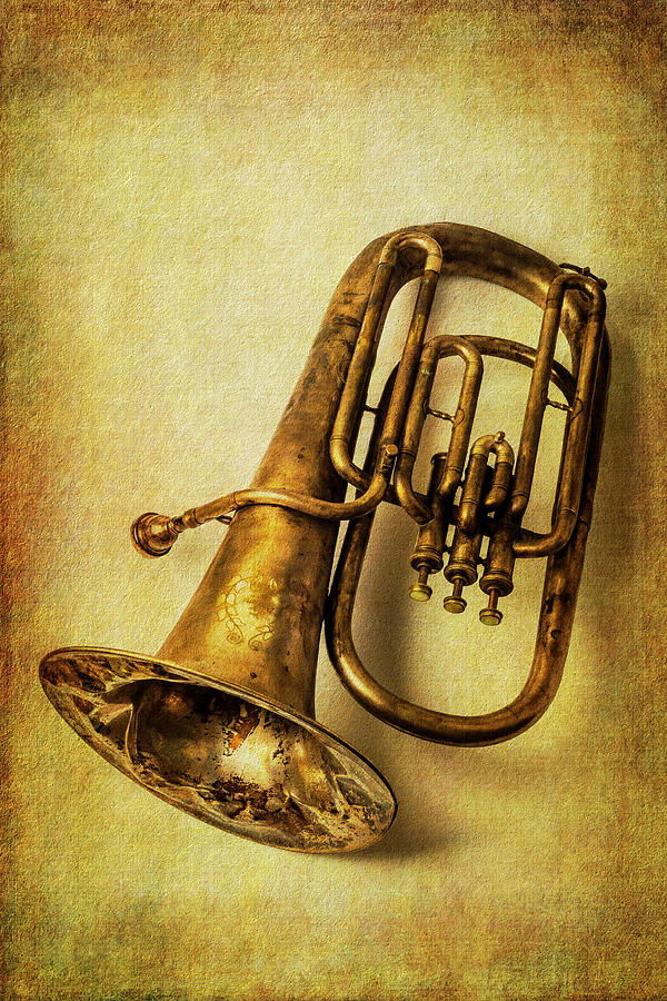 Wonderful Rustic Tuba Photograph by Garry Gay