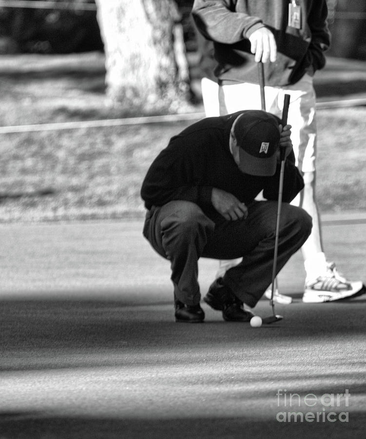 Wondering Tiger Woods  Photograph by Chuck Kuhn