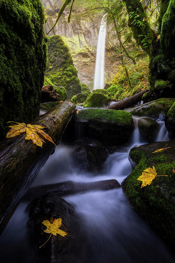 Wonderland in the Gorge by Bjorn Burton Wonderland in the Gorge by Bjorn Burton