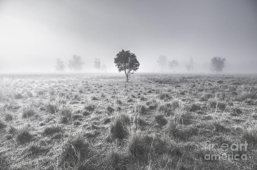 Wondrous misty background Photograph by Jorgo Photography