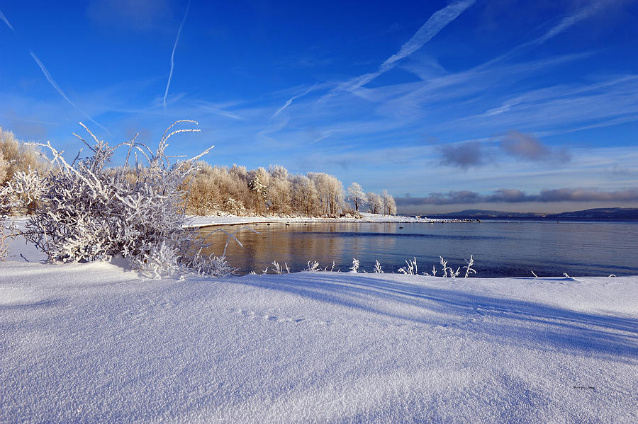 Wondrous Winter Photograph by Randi Grace Nilsberg