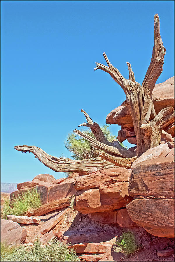 Wood and Rock Sculpture on Guano Point in Grand Canyon West, Arizona  Photograph by Ruth Hager