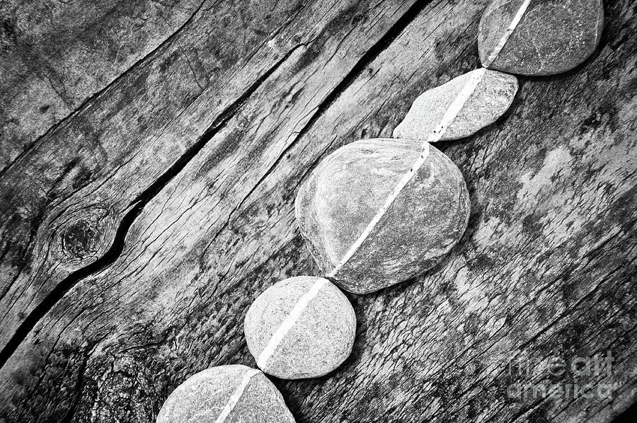 Pebbles Photograph - Wood and stones by Delphimages Photo Creations