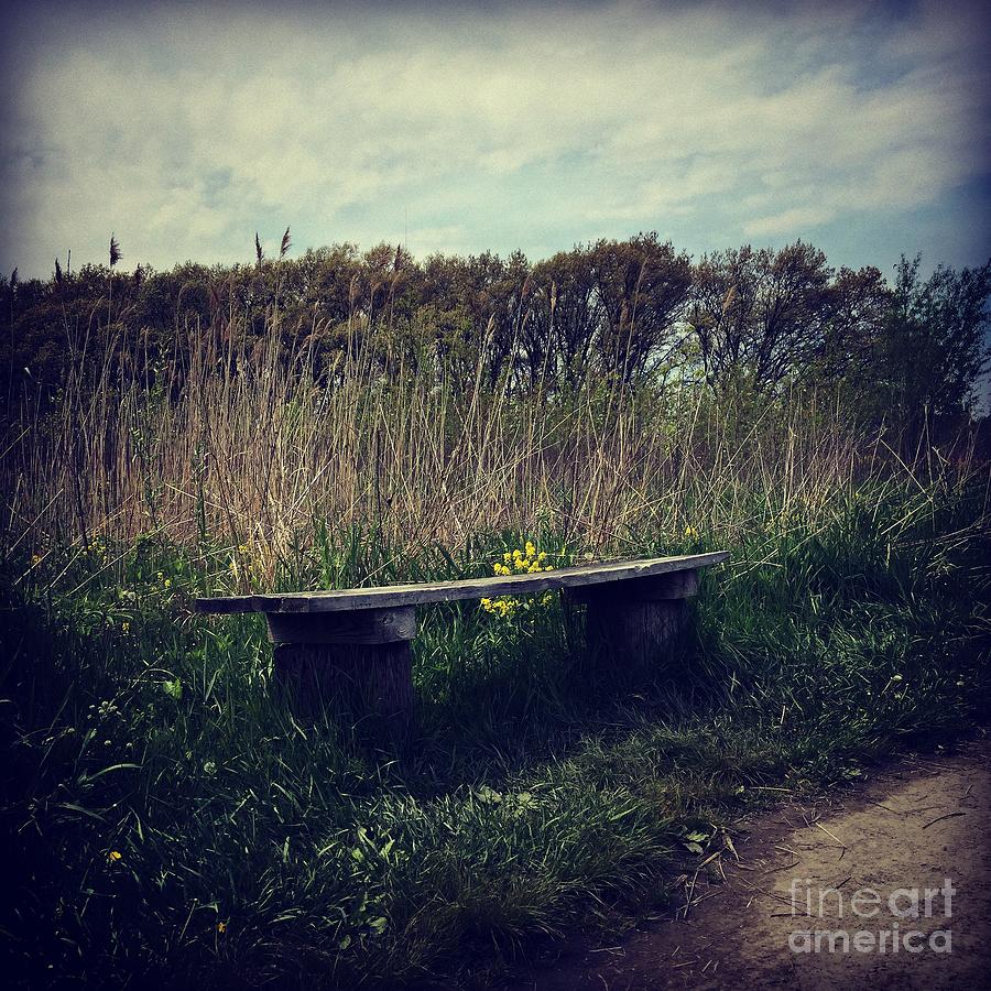 Wood Bench and Yellow Flowers Photograph by Frank J Casella