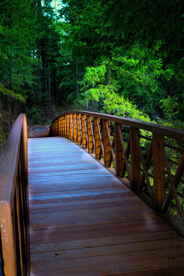 Wood Bridge  Photograph by Dr Janine Williams