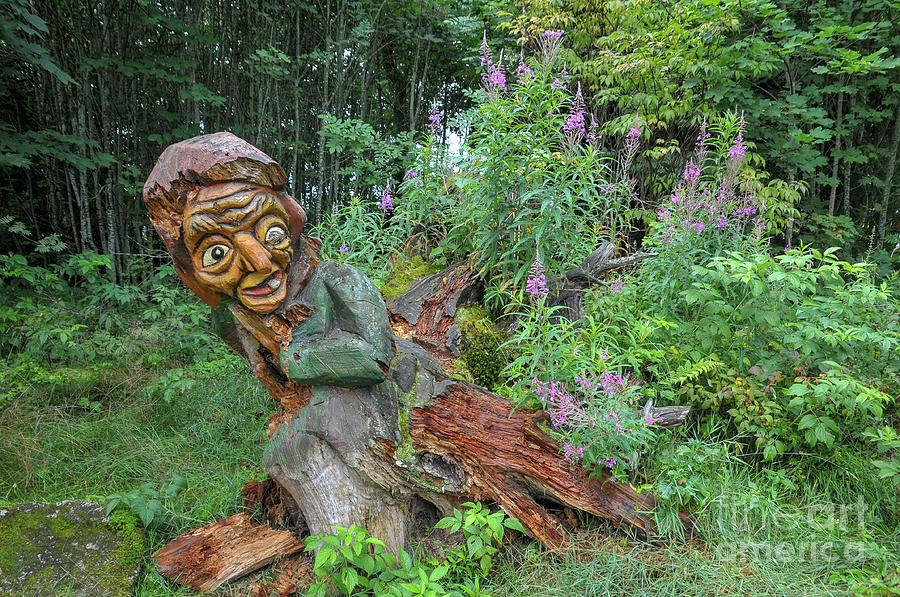 Wood Carvings Along A Forest Trail Photograph by Shay Levy - Fine Art ...