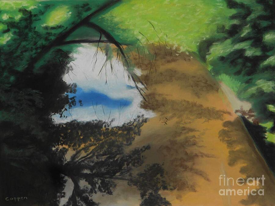 Wood Creek Shadows and Reflections with Flies Pastel by Robert Coppen