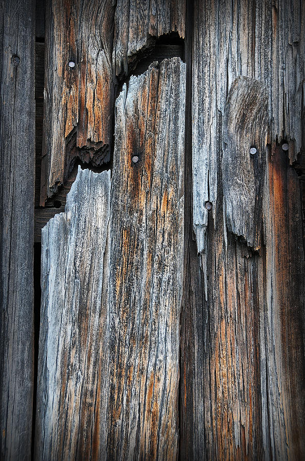 Wood Deatail Photograph by Dick Pratt