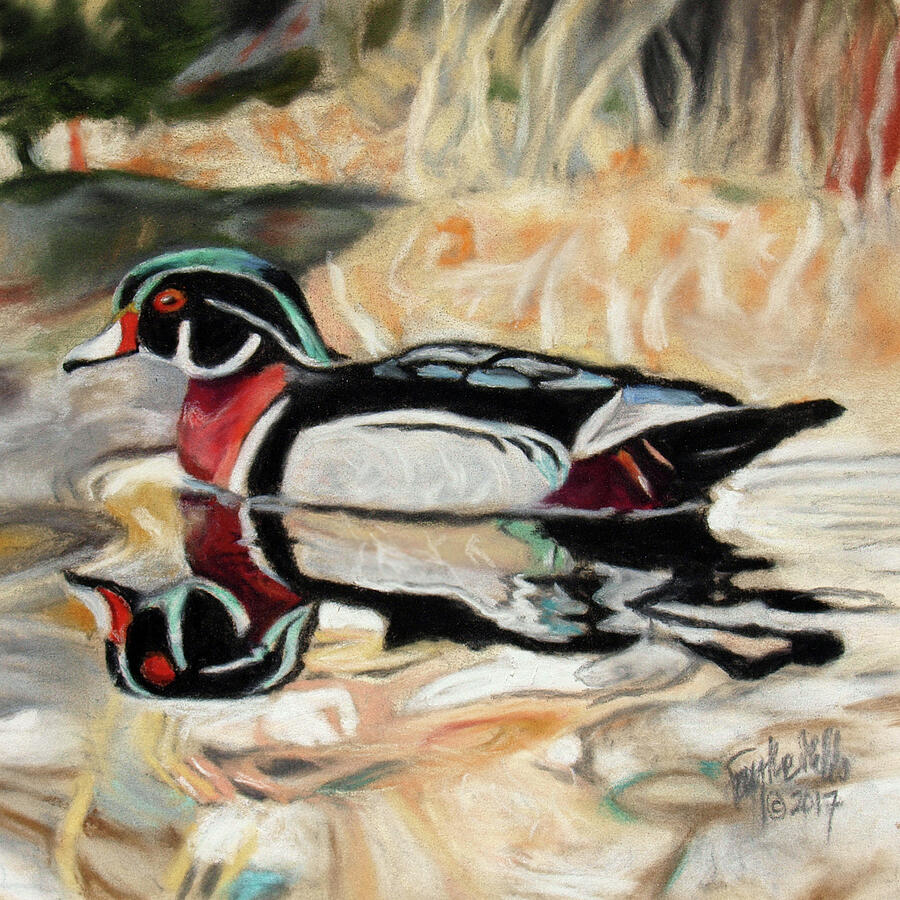 Wildlife Drawing - Wood Duck by Faythe Mills