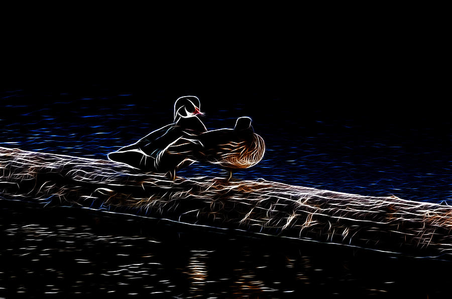 Wood Duck Pair - Fractal Photograph by Lawrence Christopher