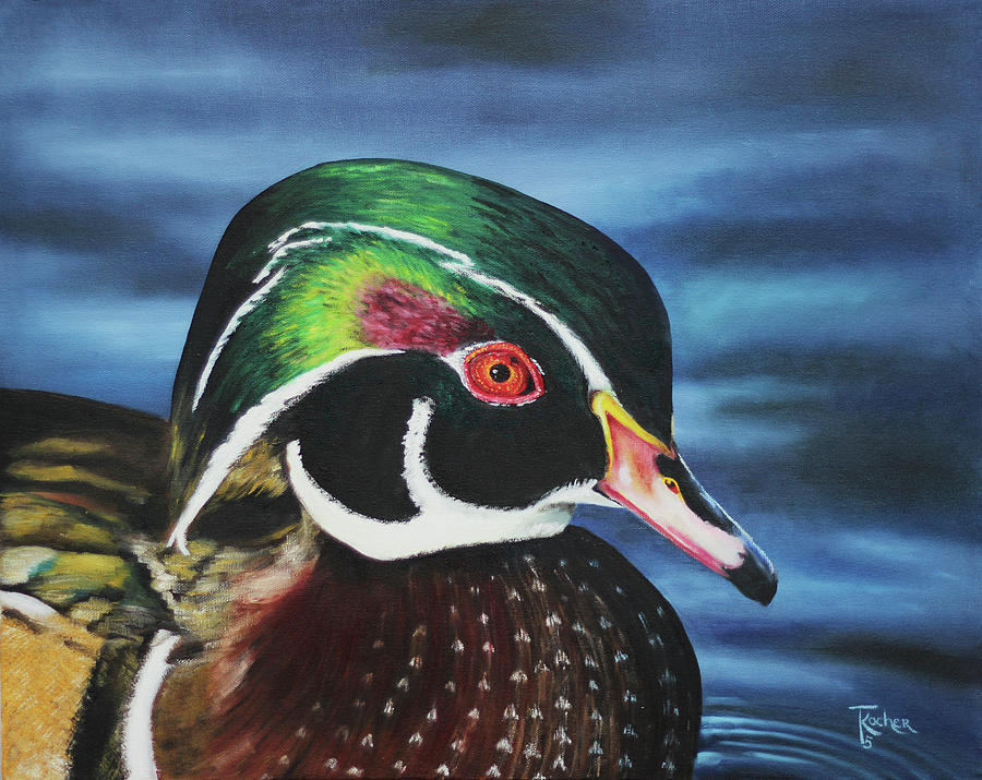 Wood Duck Painting By Tina Kocher - Fine Art America