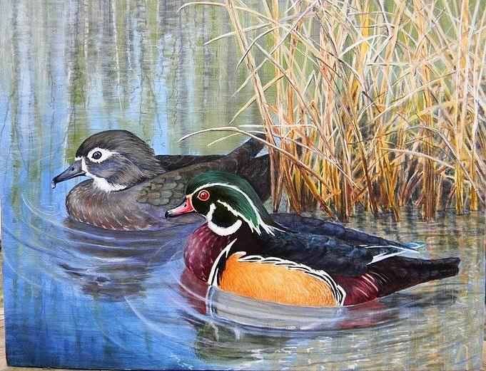 Wood Ducks Painting by Janice Kolano - Fine Art America