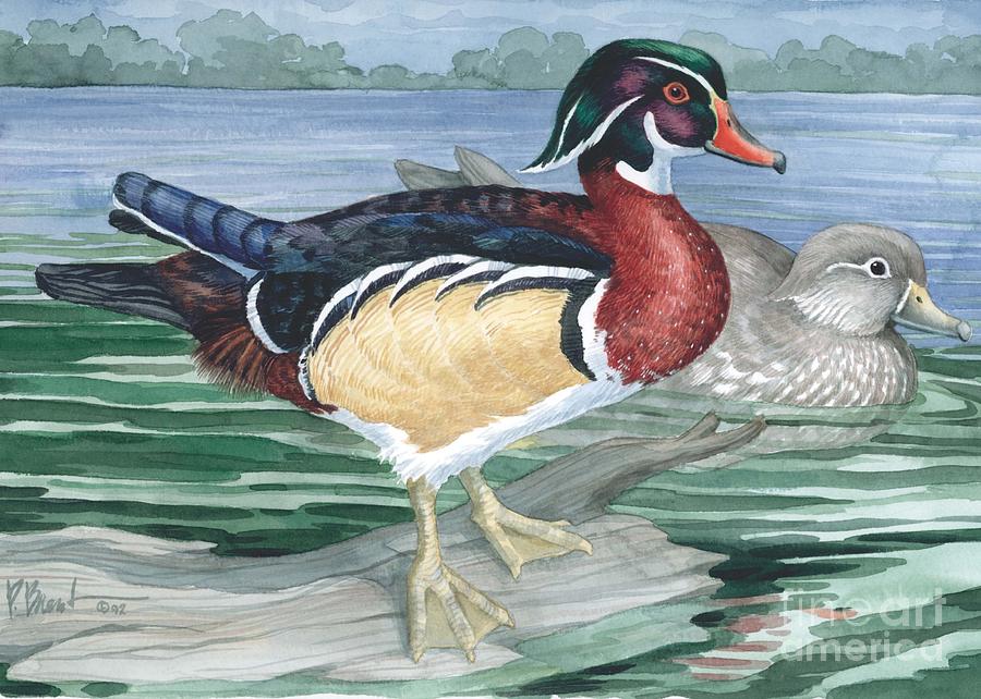 Duck Painting - Wood Ducks by Paul Brent