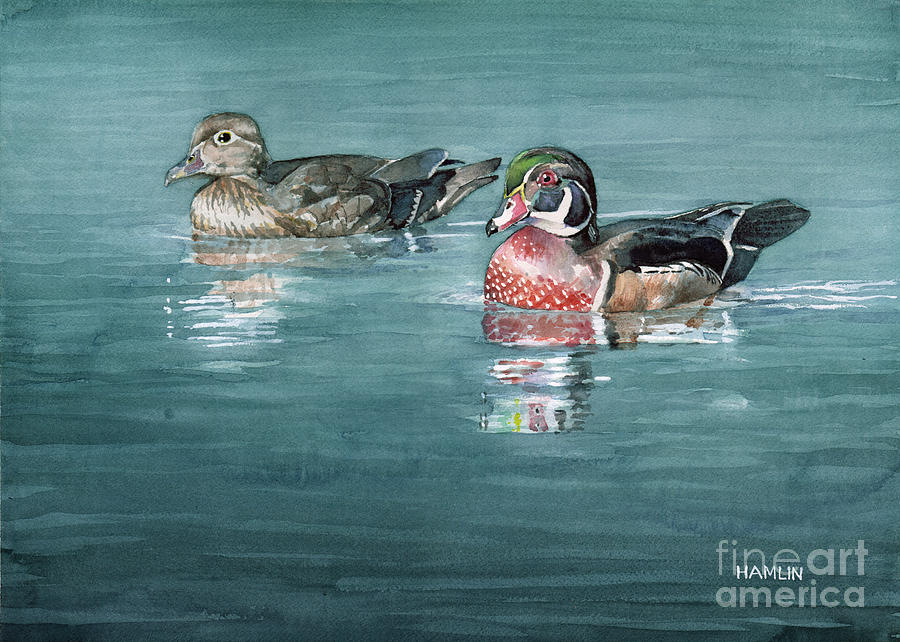 Wood Ducks Painting by Steve Hamlin