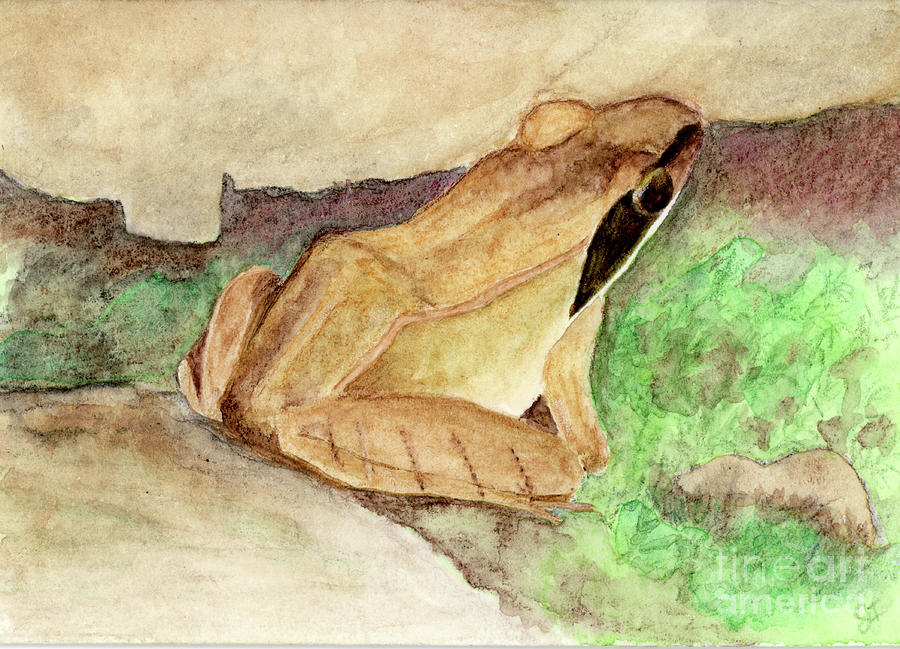 Wood Frog Painting by Jackie Irwin